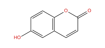 6-Hydroxycoumarin