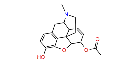 6-Monoacetylmorphine