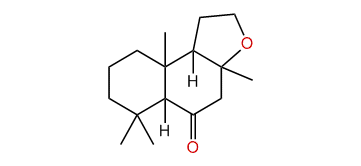 6-oxo-Isoambrox