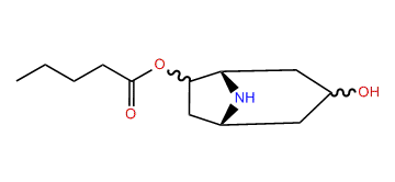 6-Pentanoyloxynortropan-6-ol