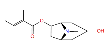 6-Tigloyloxytropan-3-ol