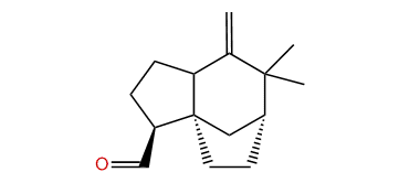 Ziza-6(13)-en-12-al