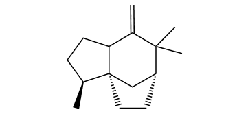 Ziza-6(13)-ene