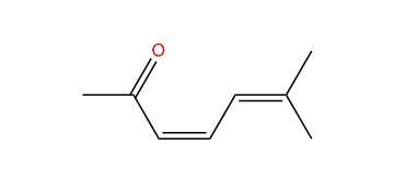 (Z)-6-Methyl-3,5-heptadien-2-one