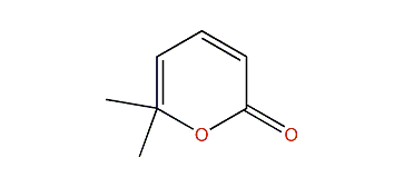 6,6-Dimethyl-2H-pyran-2-one