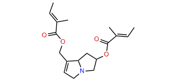 7,9-Ditigloylretronecine