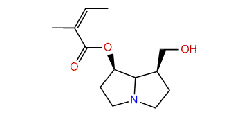 7-Angeloylplatynecine