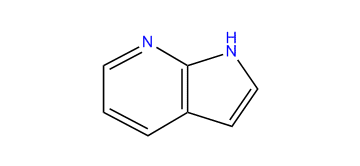 7-Azaindole