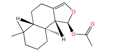 7-Deacetoxyolepupuane