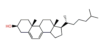 Cholesta-5,7-dien-3b-ol