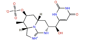 7-Epicylindrospermopsin