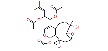 7-Havannahol