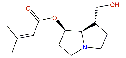 7-o-Senecioylplatinecine