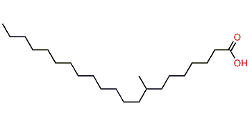 8-Methylheneicosanoic acid