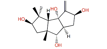 9(12)-Capnellene-2b,5a,8b,10a-tetrol