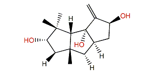 9(12)-Capnellene-2b,8b,10a-triol