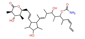 9(13)-Cyclodiscodermolide