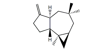 9(15)-Africanene