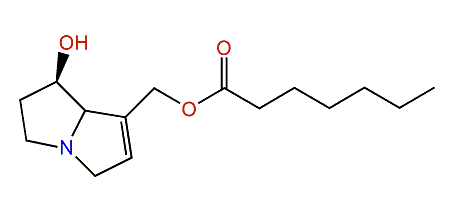 9-Hydroxyheptanoylretronecine