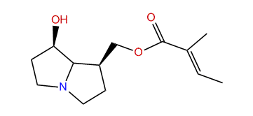 9-Tigloylplatynecine