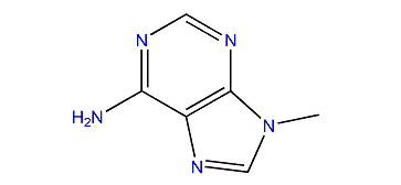 9-Methyl-9H-purin-6-amine