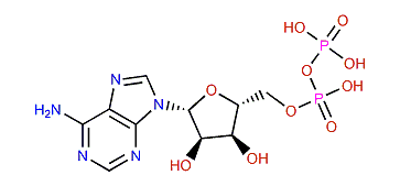 Adenosine 5'-diphosphate