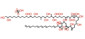 Amphidinol 19