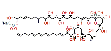 Amphidinol 7