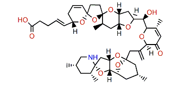 Azaspiracid 26