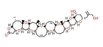 Brevetoxin 7