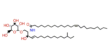 CE-1-3