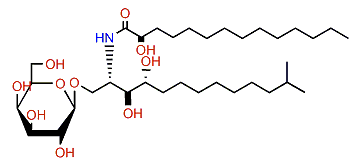 CNC-2