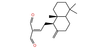 (E)-Labda-8(17),12-diene-15,16-dial