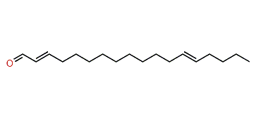 (E,E)-2,13-Octadecadienal