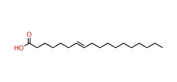 (E)-7-Octadecenoic acid