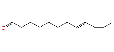 (E,Z)-8,10-Dodecadienal