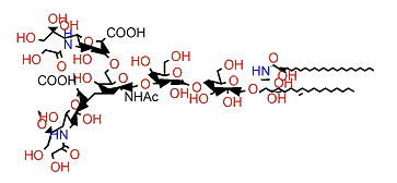 Ganglioside GAA-7