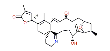 Gymnodimine C