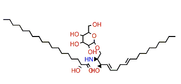 JCer-1