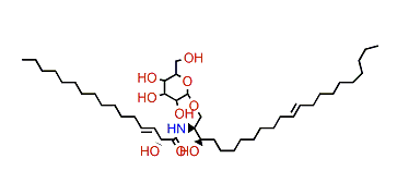 JCer-2