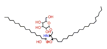 JCer-4