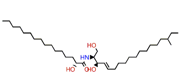 LMCer-1-1