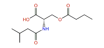 N-3-Methylbutyroyl-O-butyroyl-l-serine