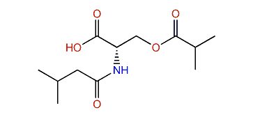 N-3-Methylbutyroyl-O-isobutyroyl-l-serine