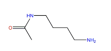 N-(4-Aminobutyl)-acetamide