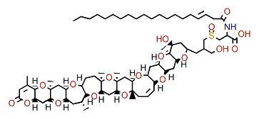 N-Didecenoyl-brevetoxin B2