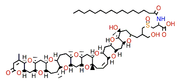 N-Hexadecanoyl-brevetoxin B2