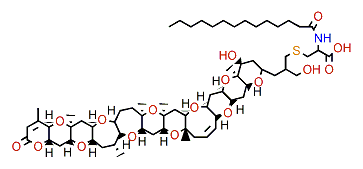 N-Tetradecanoyl-S-deoxy-brevetoxin B2