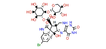 Neosurugatoxin