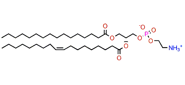 Phosphatidylethanolamine